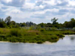 photo Balade nature : les Rives de Beaugency