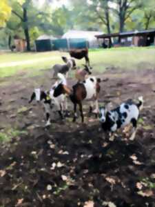 Journée de Pâques à la ferme