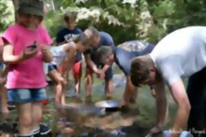 Eté actif - orpaillage en rivière