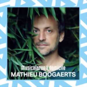 Musicalarue à domicile - Mathieu Boogaerts