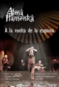 photo Spectacle Flamenco - Limoges