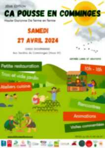 photo ÇA POUSSE EN COMMINGES !