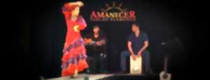 Festival andalou 2024 : Concert et Danse « Cuadro Flamenco »
