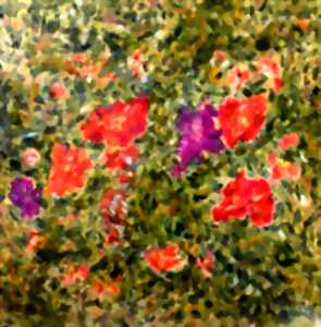 photo Exposition de peinture avec Alain Peyrou