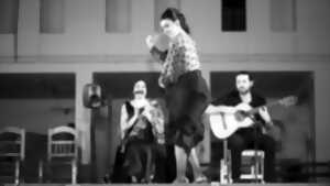 Flamenco: 8 lunares
