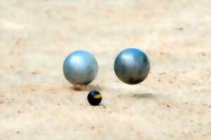 Concours de pétanque en doublette