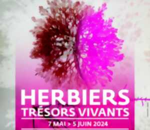 Exposition : Herbiers, trésors vivants