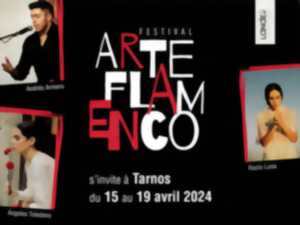 Arte Flamenco s'arrête à Tarnos...