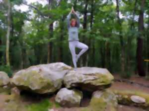 photo Marche & Yoga en forêt