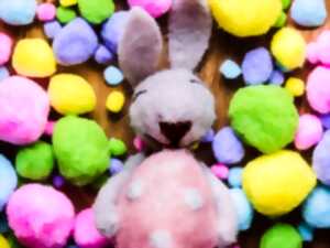 photo Chasse aux oeufs