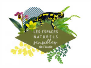 ENS - LES INSECTES FACE À LA SÈCHERESSE