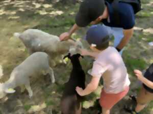 Fête de la ferme Les Minis Pattes