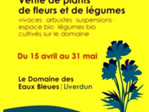 photo Ouverture des serres vente de plantes