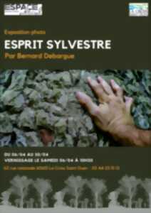 Esprit sylvestre