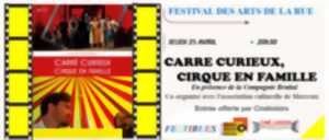 photo Festival des Arts de la rue 