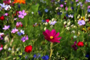Fête annuelle des Amis des Fleurs