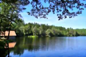 photo La Roche en fête - Fête de l'étang de laborde