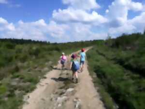 photo Randonnée & pétanque