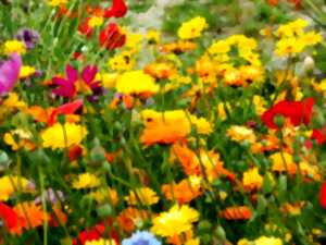 photo FÊTE DU PRINTEMPS