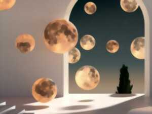 photo Nuit européenne des musées - musée de la princerie