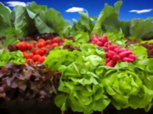 Marché de printemps à Saint Maurice