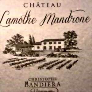 photo Marché gourmand au Château Lamothe Mandrone