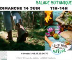 photo Balade botanique