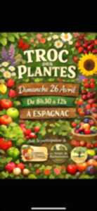 photo Troc de plantes