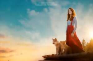 photo Cinéma de plein air | Le loup et le lion