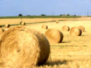 photo Un dimanche à la campagne 