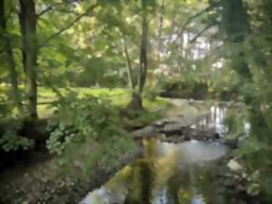 photo Randonnée châtaignes à Sainte Marie Laumont