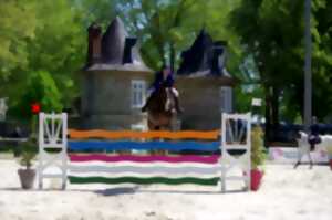 Concours de Saut d'Obstacles Jeunes chevaux SHF