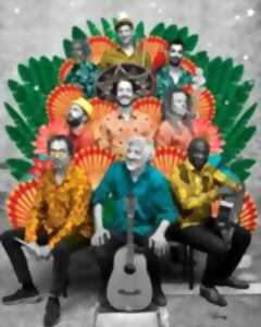 photo Festival aux Champs : Zoufris Maracas