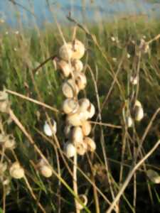 photo Découverte des dunes