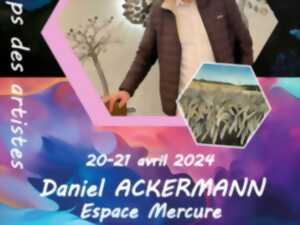 PRINTEMPS DES ARTISTES - DANIEL ACKERMANN