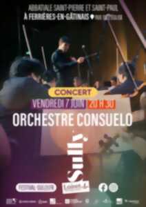 photo Concert orchestre Consuelo - Festival de Sully