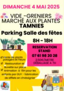 photo Marché aux plantes & Vide Greniers