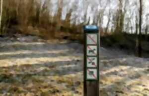 photo Un voyage dans le temps en pleine nature : l'histoire de la Réserve de Bois-en-Val