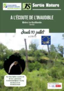 photo Sortie nocturne: A l'écoute de l'inaudible