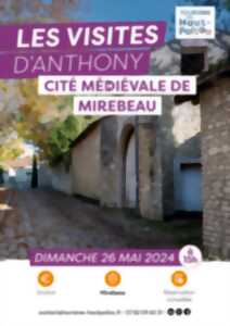 Les visites d'Anthony : La cité médiévale de Mirebeau