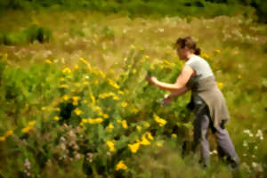 photo Rencontre d'exception : Avec Colette, c'est du champ à l'assiette