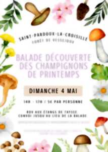 photo Balade découverte des champignons de printemps