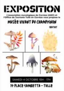 photo Musée vivant du champignon