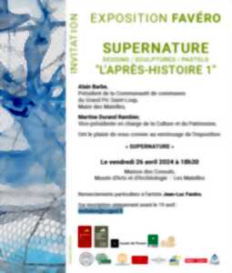 « SUPERNATURE » JEAN LUC FAVERO - VERNISSAGE DE L'EXPOSITION