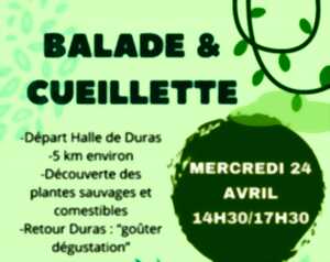 photo Balade, cueillette et dégustation avec Agnès de Naturopathie per tutti