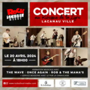Concert : The Wave - Once Again - Robe and the Mama's