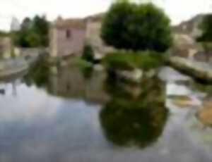 photo Sortie nature : l'eau et les moulins