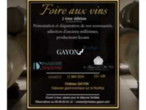 photo Gayon Rooftop : Foire aux Vins du Château Gayon 2e édition