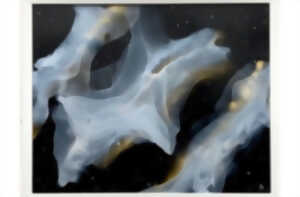 photo Exposition | Ariane BERGADIEU-SOLAL - Fluide Art