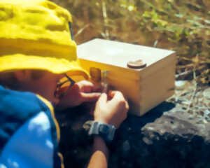 L'été des explorateurs à Mestes